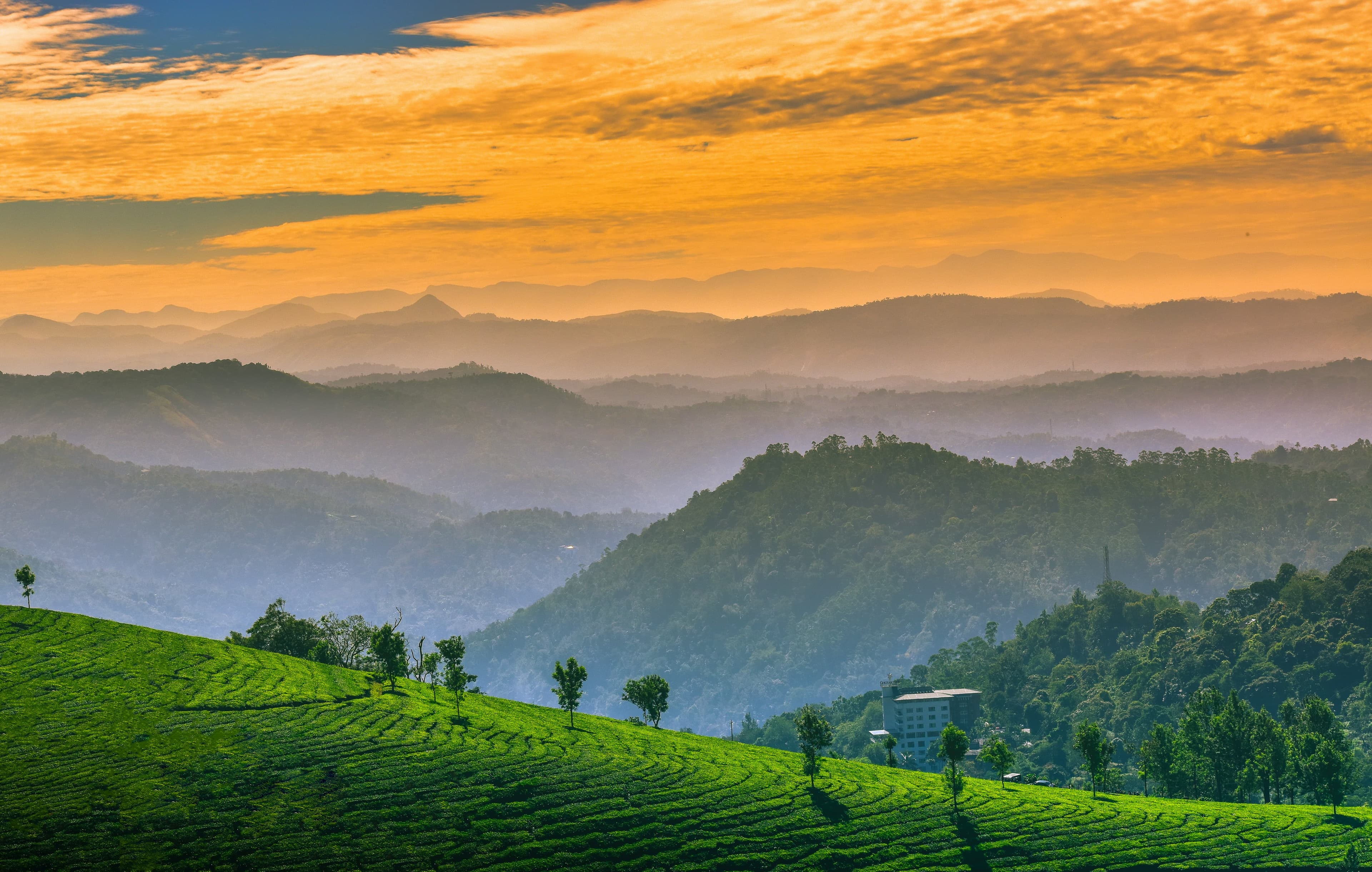 Wayanad